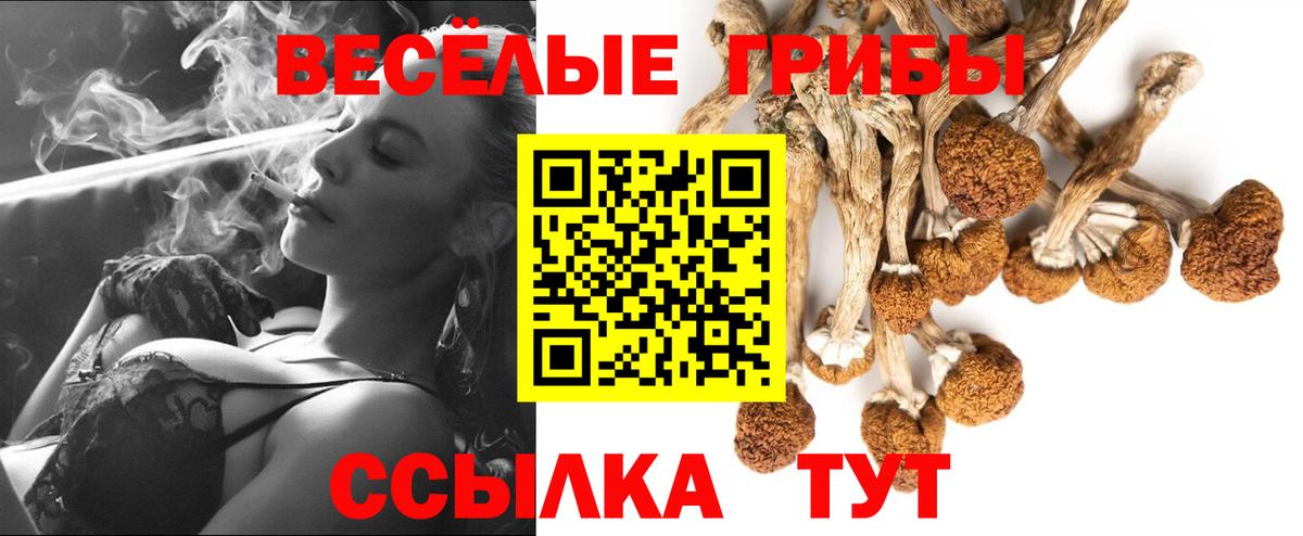 Скопин  Псилоцибиновые грибы Psilocybine cubensis  Галлюциногенные грибы мухоморы  Вход с VPN 